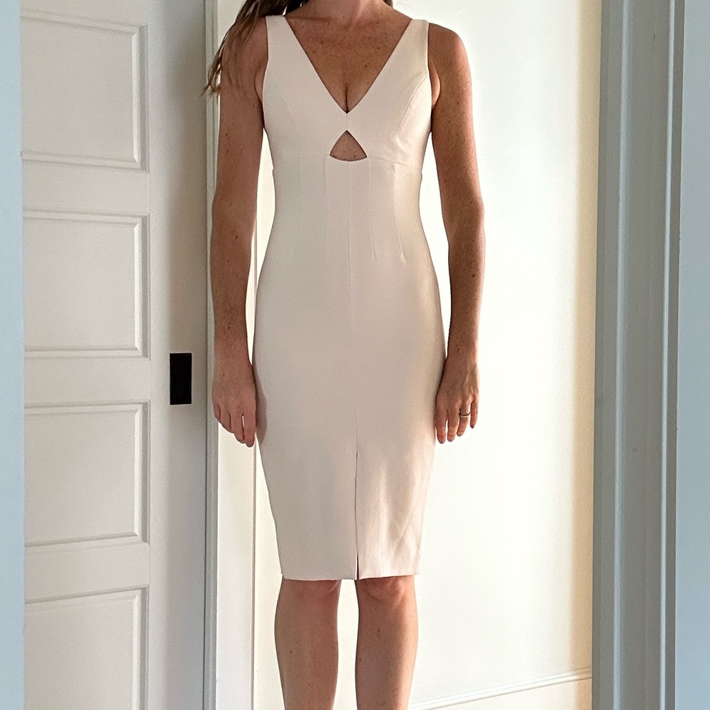 Alice & Olivia Dress